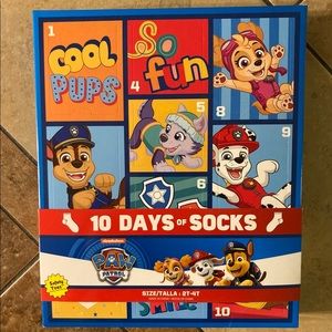 Paw Patrol 10 days of socks 10 pack